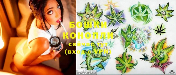 сатива Козловка