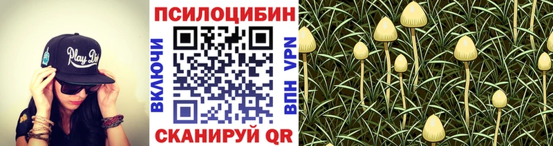 Псилоцибиновые грибы ЛСД  цены   Ефремов 